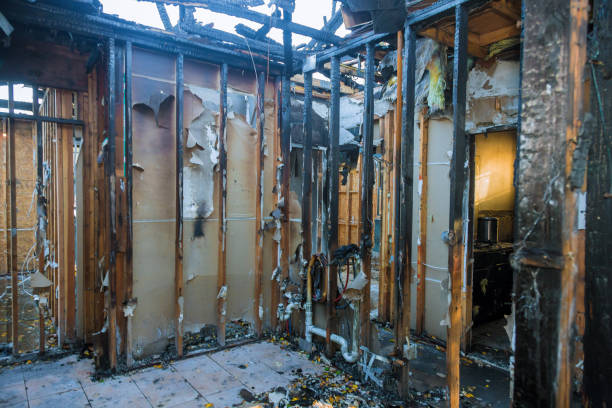 Professional Fire Damage Removal technician working in Venice Gardens, FL